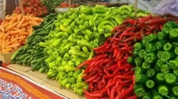 تباين الأسعار.. ارتفاع 6 أصناف وهبوط 8 في الخضروات والفاكهة